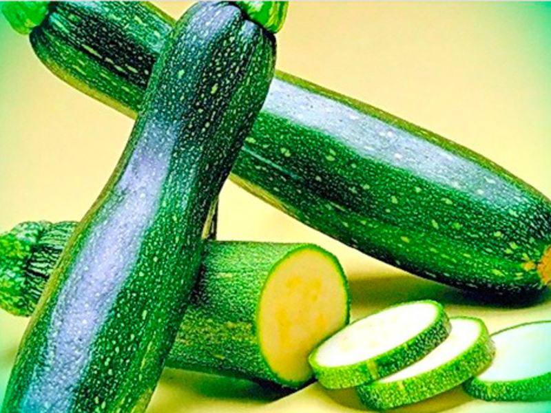 Zucchini-Sorten