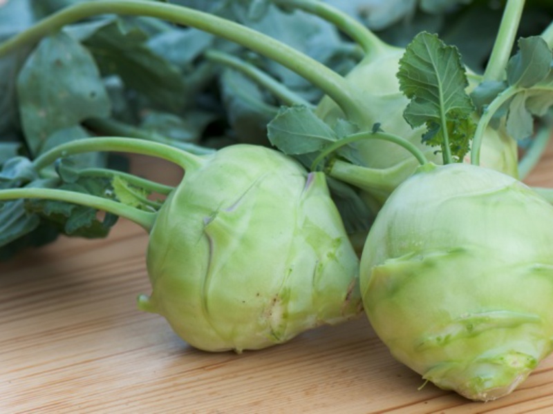 Kohlrabi cabbage and its value