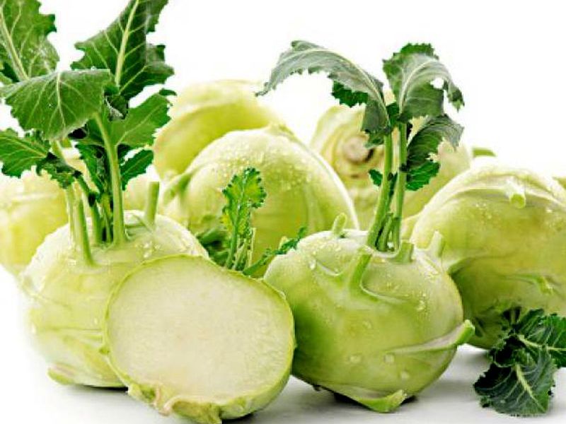 Kohlrabi káposzta