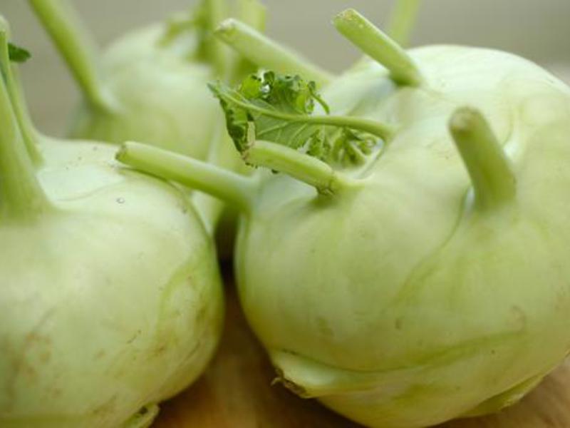 kohlrabi เติบโตอย่างไร