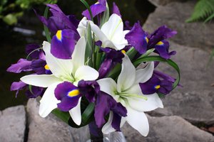 Lilies and irises go very well together