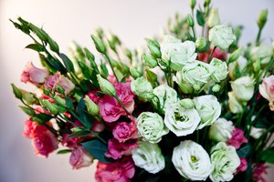 Lisianthus és una interessant varietat de roses