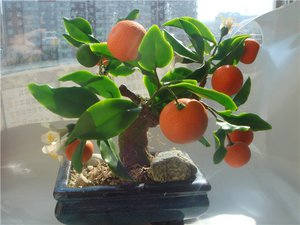 Éclairage pour un arbre de mandarine