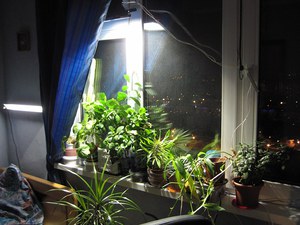 Método de montagem de iluminação para plantas