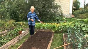 Como preparar adequadamente o solo para semear tomate