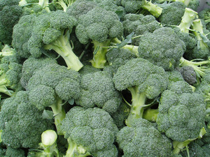 Ibrido di broccoli