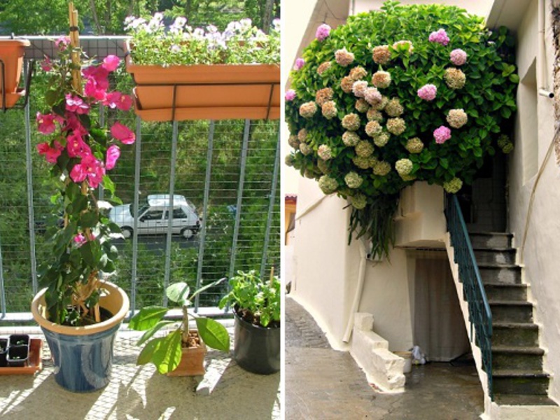 Prachtige bloemen in de decoratie van het balkon