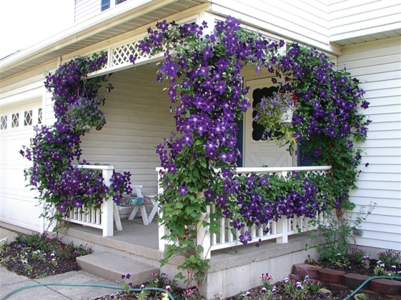 Blomsterpotter på balkongen