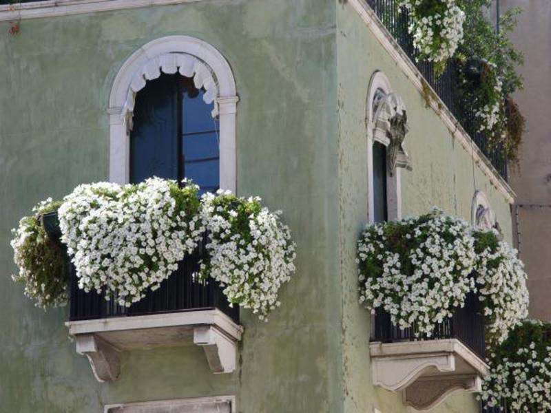 Bloemstukken op het balkon