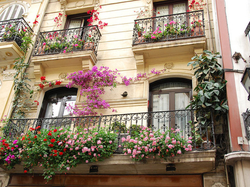 Arranjos de flores para a varanda,