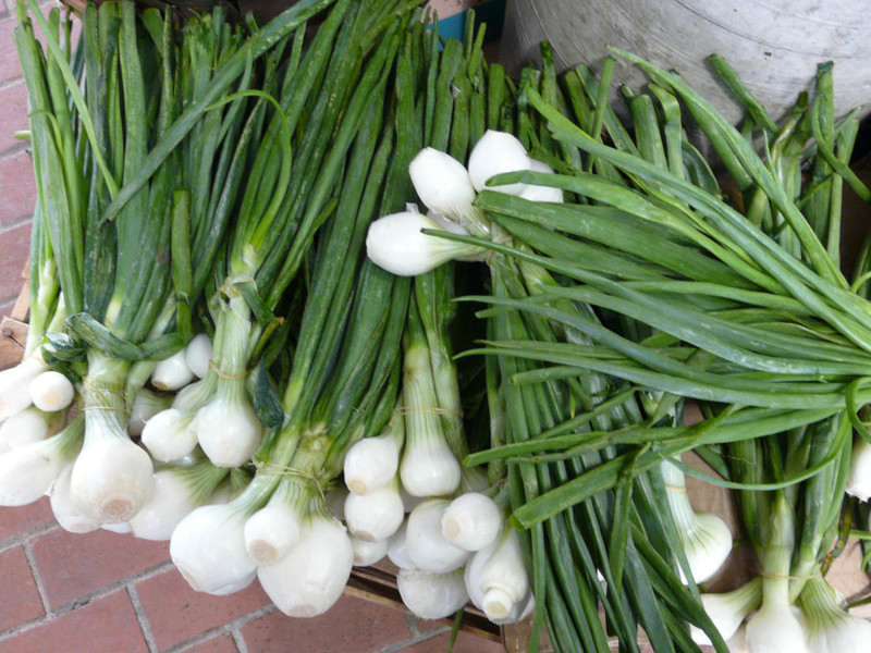 Sjalotten en plantmethoden