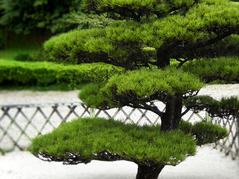 ท้ายที่สุดองค์ประกอบตกแต่งหลักของสวนยังคงเป็นพระเยซูเจ้า