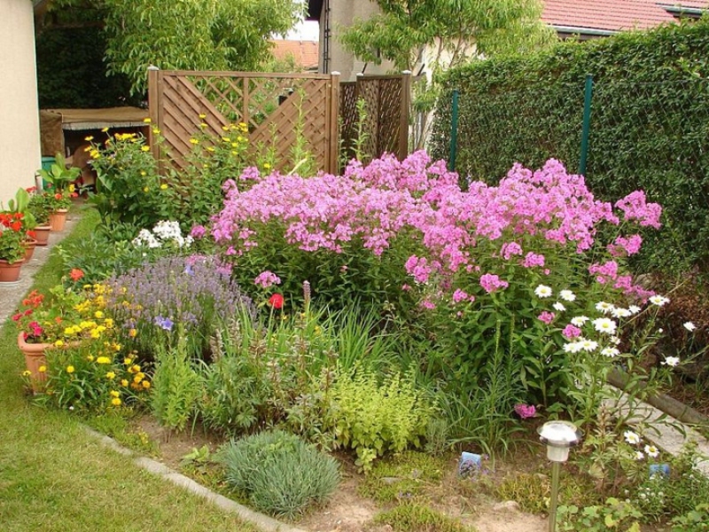 Flores de jardim que adoram sombra