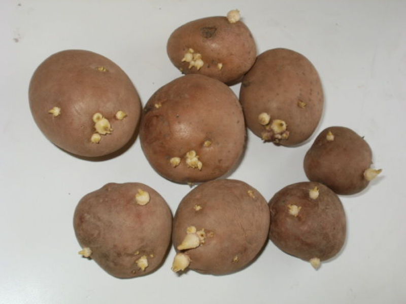 Patatas romanas