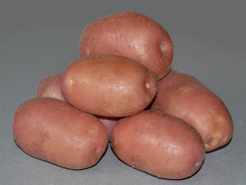 Patatas romanas