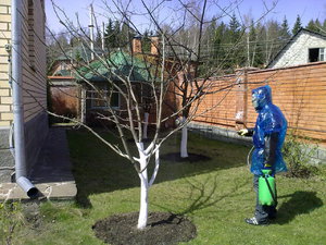 Entretien du jardin