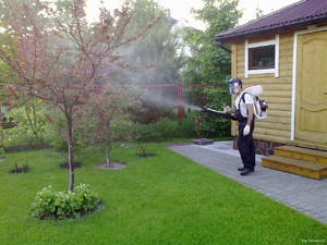 Consejos de jardinería