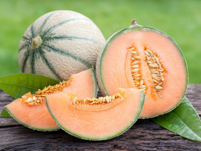 Descripción de la variedad de melón cantalupo Tsaritsyn Day