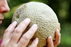 Cantaloupe history