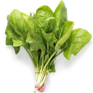 Lumalagong spinach