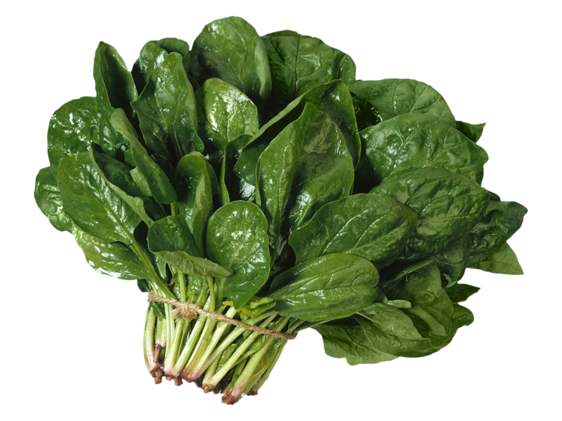 Paano palaguin ang spinach