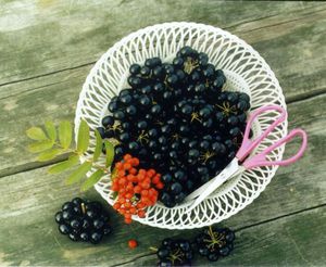 Βλάβη στο Sunberry