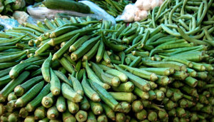 Normes per triar fruites d’okra