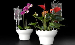 Comment faire un système d'arrosage pour plantes