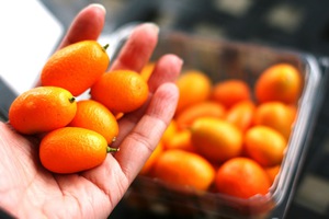 Reglas para elegir la fruta kumquat al comprar.