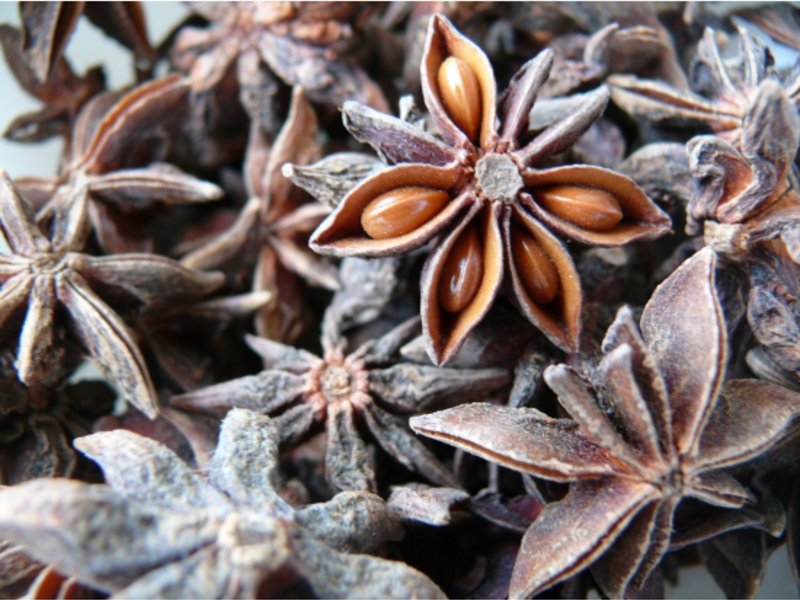 Tumbuhan anise