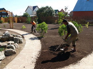 Regles per triar un lloc per cultivar gladiols