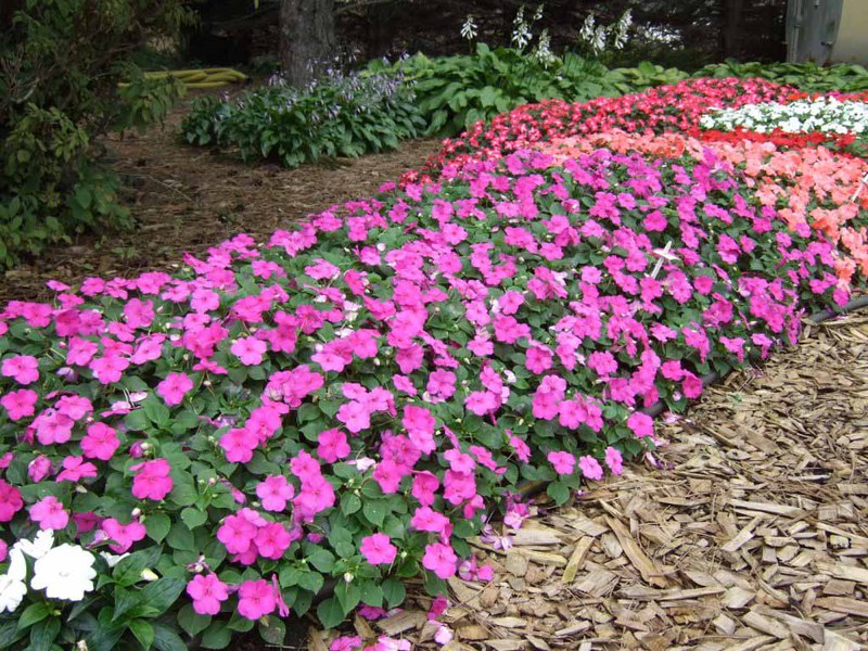 Das Infield mit Blumen dekorieren