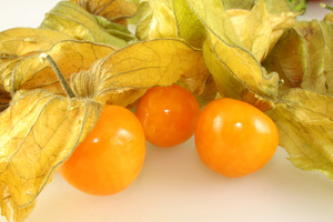 Come coltivare Physalis