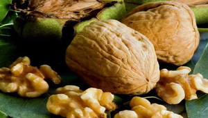 Todo sobre nueces