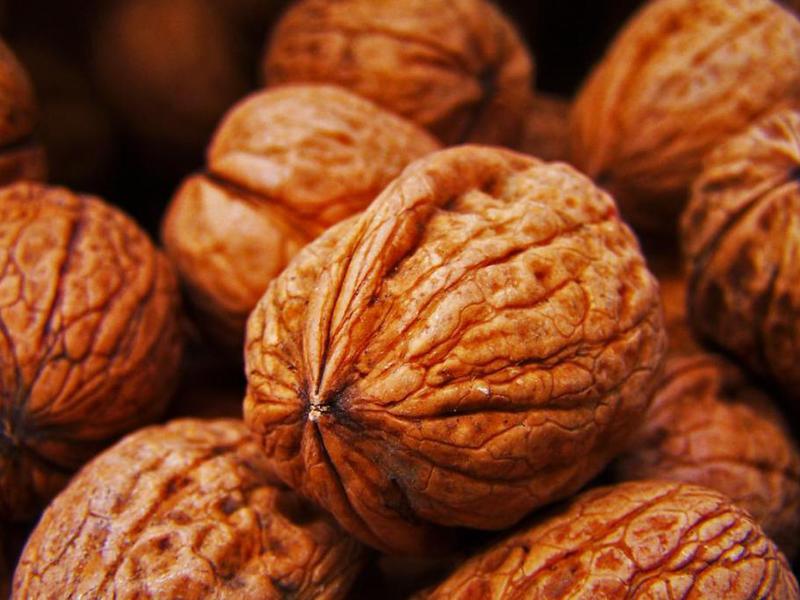 The healing power of the walnut