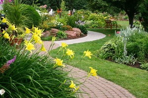 The use of daylilies in the design of landscape design