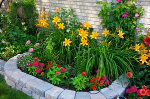 Lista e descrição dos tipos de flores com as quais os daylilies são combinados