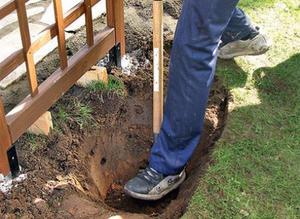 Description of the method of preparing a pit for a rose bush