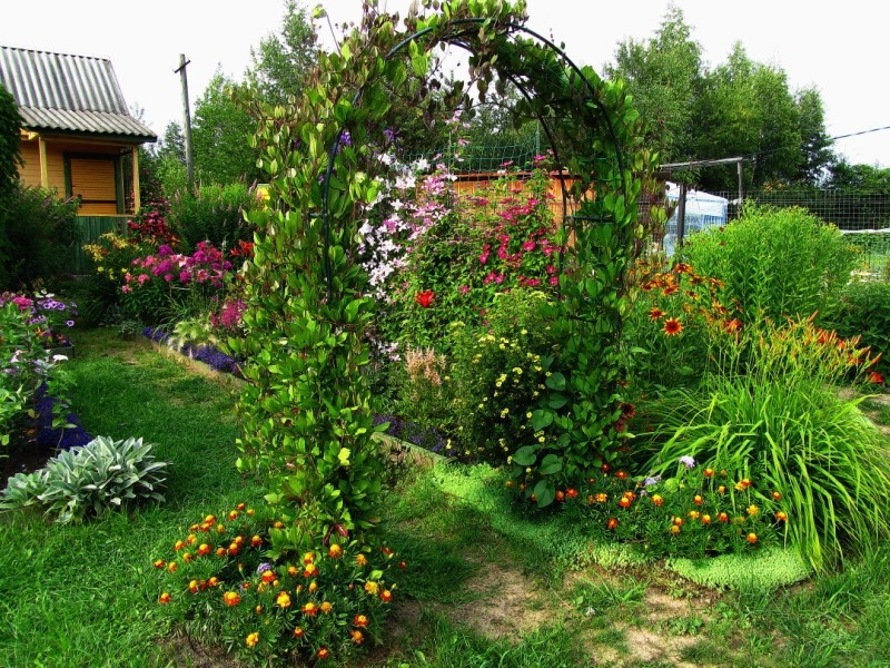 Kobeya Klettern in der Landschaft ist ein wunderschöner Gartenbogen.