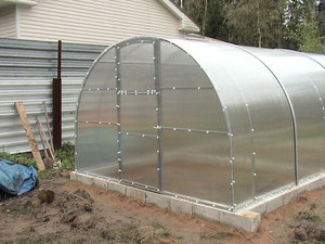 How to install a polycarbonate greenhouse on the site correctly