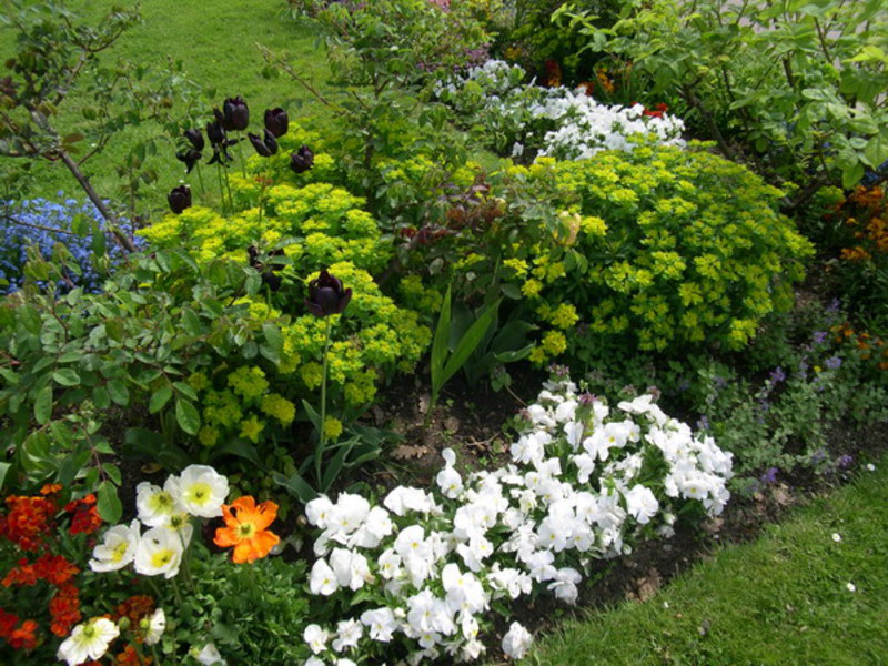 Camas de variedades de verano.