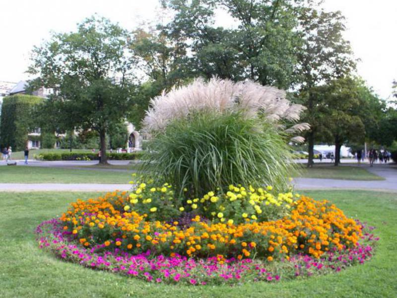 Giardino fiorito di fiori sottodimensionati