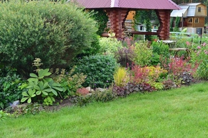 Coniferous-woody mixborder in a suburban area