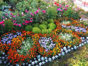 Opciones de diseño para macizos de flores con flores y plantas.