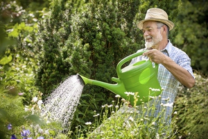 Funksjoner av plantepleie arabis