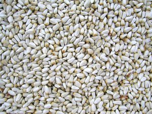 Safflower seeds are suitable for poultry feed.