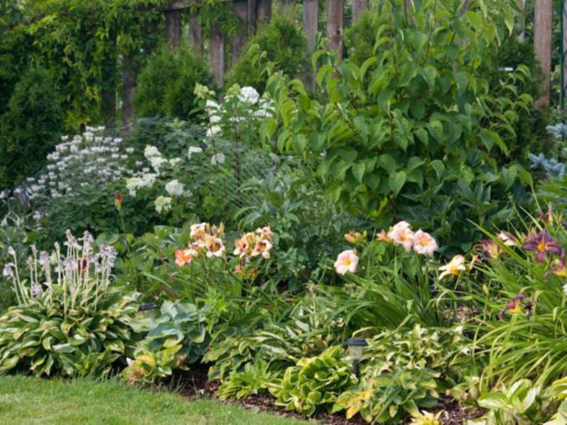 Decoración de jardín de flores