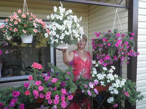 Cómo cuidar adecuadamente la petunia ampelosa.