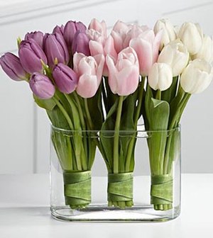 Storage rules for cut tulips