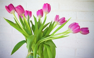 Bouquet de tulipes dans un vase sur la table